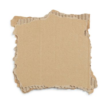 Kraft cardboard piece ripped edge. Isolated on white background