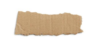 Kraft cardboard piece ripped edge. Isolated on white background
