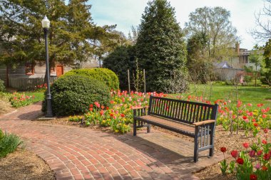 Birçok lale çeşidi Yıllık Lewes Lale Kutlaması sırasında Zwaanendael Park, Lewes, DE 'yi aydınlatır.