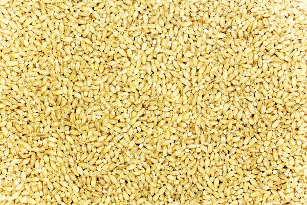 Pearl barley as background — Stock Photo, Image