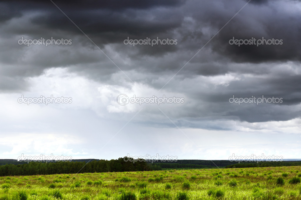 Dark stormy clouds over a green wheat field