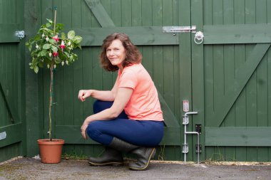 Standart fuşyalar bahçe için sonbahar vurgusu olarak yetiştirilebilir. Çiçek açmaya devam etmek için tohum başlıklarını kesmek önemlidir..