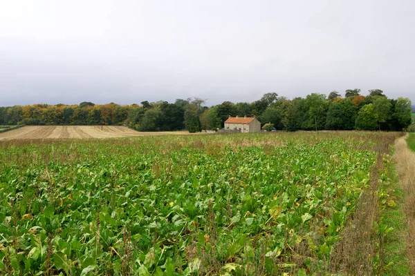 Das Dorf Rievaulx Ist Jeder Jahreszeit Einzigartig Malerisch Rievaulx Helmsley — Stockfoto