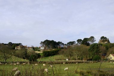 Cloughton 'dan Whitby Cinder Track' e, Cloughton, Kuzey Yorkshire, İngiltere, 12 Şubat 2022.