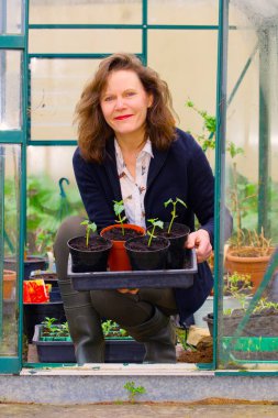 Nisan ayı başlarında, serada büyümek için Fransız tohumları ekmek ve saksı ekmek için ideal bir zamandır..