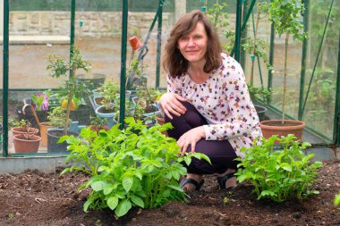 İlkbaharda çekici bir esmer kadın yakalamak, konteynır yetiştirilmiş patatesleri dışarı koymak,.