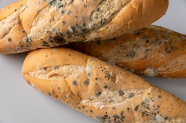 Moldy bread on blurry background. food fungus. Dirty food that is unappetizing.