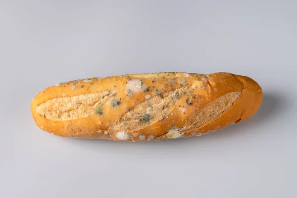 Moldy Bread Blurry Background Food Fungus Dirty Food Unappetizing — Foto de Stock