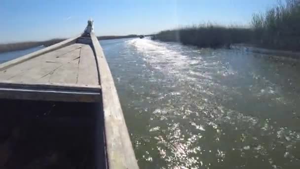 Passeio Barco Nos Pântanos Mesopotâmicos Iraquianos Com Chamados Árabes Pântanos — Vídeo de Stock
