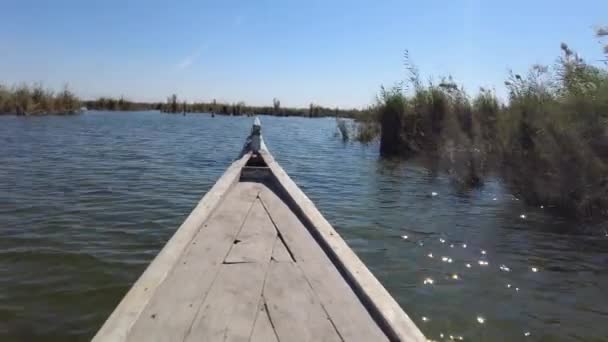 Boat Trip Mesopotamian Iraqi Marshes Called Marsh Arabs Dan — Stock Video