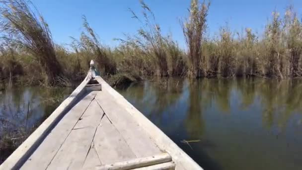 Perjalanan Kapal Mesopotamia Irak Rawa Rawa Dengan Apa Yang Disebut — Stok Video