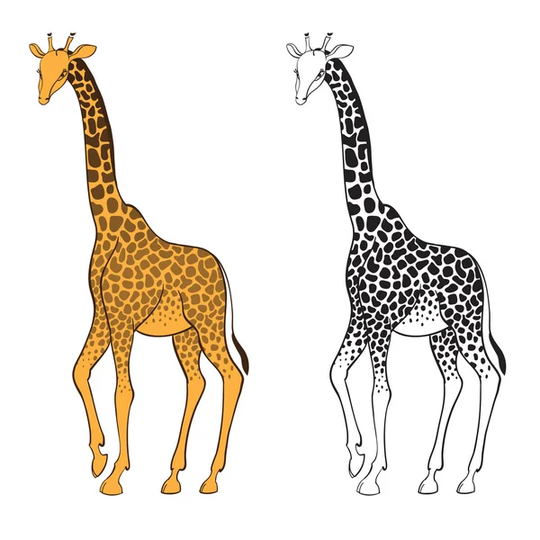 Set di due giraffe. Adesivi murali — Vettoriale Stock