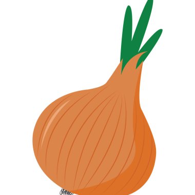 Her amaçla büyük soğan tasarımı. Taze, sağlıklı sebze. Vejetaryen organik gıda.