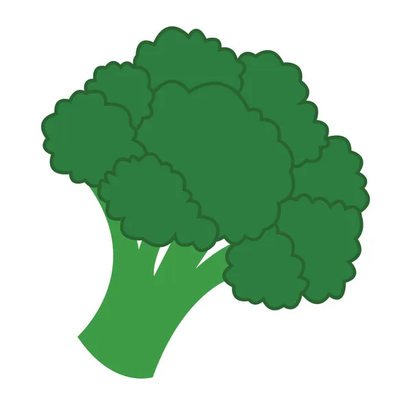 Брокколи Отличный Дизайн Любых Целей Свежий Здоровый Овощ Веганские Органические — стоковый вектор