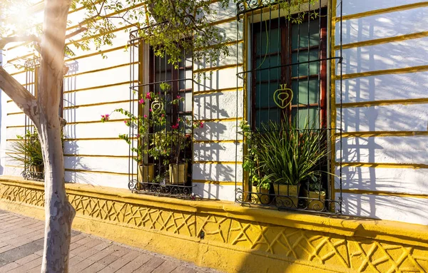 Ruas coloridas de Guadalajara, no centro histórico da cidade, perto da Catedral de Guadalajara e do Centro Histórico - Centro Histórico — Fotografia de Stock