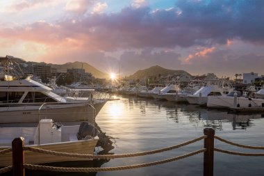 Cabo San Lucas, Los Cabos 'taki Marina ve yat kulübü alanı, gemi turları, balıkçılık ve Lancha tekneleri için El Arco Kemeri ve plajları için bir kalkış noktası.