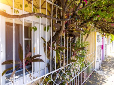 San Miguel de Cozumel, Meksika, Central Plaza ve şehir merkezindeki renkli şehir sokakları turizm sezonunun en yoğun olduğu aylarda