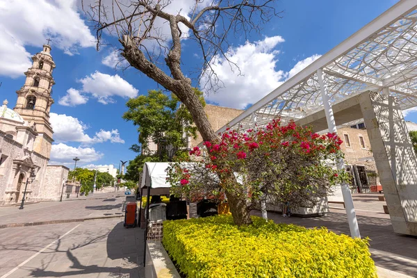Mexique, Aguascalientes, Monument et jardin Patio Jesus Contreras dans le centre historique de Zocalo en face de la basilique cathédrale d'Aguascalientes — Photo