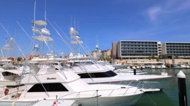 Cabo San Lucas, Los Cabos 'taki Marina ve yat kulübü alanı, gemi turları, balıkçılık ve Lancha tekneleri için El Arco Kemeri ve plajları için bir kalkış noktası.