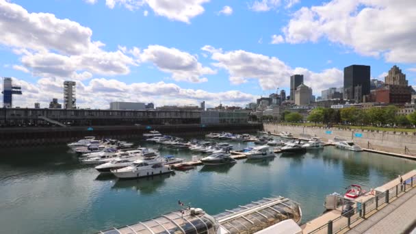 Vista panorámica del horizonte moderno de Montreal del centro financiero de la ciudad y el Puerto Viejo de Montreal frente al río San Lorenzo — Vídeos de Stock