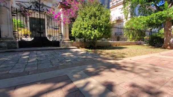 Central Avenue Paseo de Montejo in Merida з місцевими музеями, ресторанами, пам'ятками та туристичними пам'ятками — стокове відео