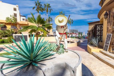 Cabo San Lucas, Los Cabos 'taki Los Cabos marinasında tekila dükkanı, gemi turları, balıkçılık ve Lancha tekneleri için El Arco Kemeri ve plajlara bir kalkış noktası.