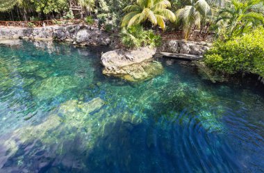 Meksika turizm merkezi, Cenote Casa Tortuga, Tulum ve Playa Del Carmen yakınlarında.