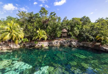 Meksika turizm merkezi, Cenote Casa Tortuga, Tulum ve Playa Del Carmen yakınlarında.