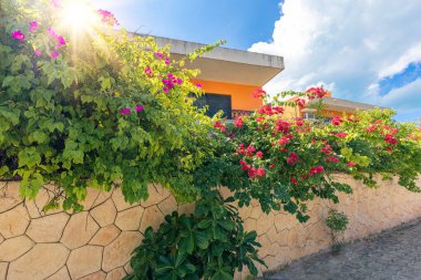 Meksika, Cancun, Ada Mujeres 'in renkli caddeleri, restoranları ve manzaralı plajları.