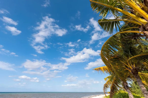Pláže, hry a hotely na ostrově Cozumel, turistika a prázdninové destinace na Mayské riviéře — Stock fotografie