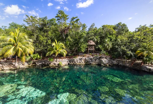 Meksika turizm merkezi, Cenote Casa Tortuga, Tulum ve Playa Del Carmen yakınlarında.