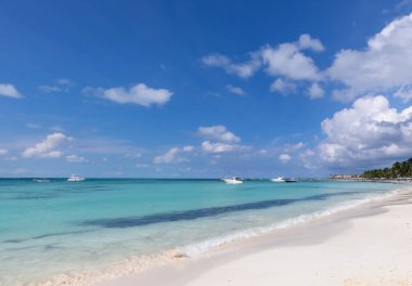 Meksika, Cancun, Isla Mujeres, Playa Norte plajı palmiye ağaçları ve turistleri bekleyen kum.
