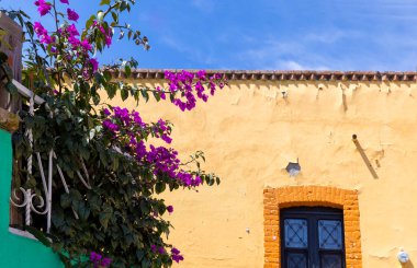 Zacatecas, Meksika, merkez katedralin yakınlarındaki tarihi merkezde renkli eski şehir sokakları