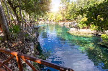 Tulum ve Playa Del Carmen yakınlarındaki Cenote Casa Tortuga 'nın turizm merkezi, mağaraları ve havuzları