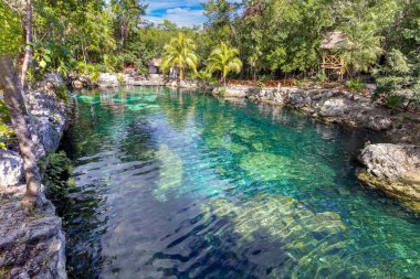 Tulum ve Playa Del Carmen yakınlarındaki Cenote Casa Tortuga 'nın turizm merkezi, mağaraları ve havuzları