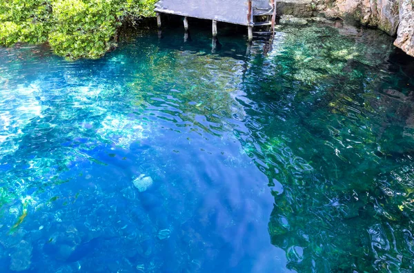 Tulum ve Playa Del Carmen yakınlarındaki Cenote Casa Tortuga 'nın turizm merkezi, mağaraları ve havuzları — Stok fotoğraf