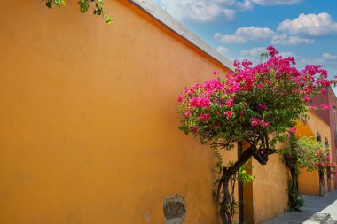 Meksika, Guadalajara, Tlaquepaque sanat köyü turizm sezonunda renkli sokaklar
