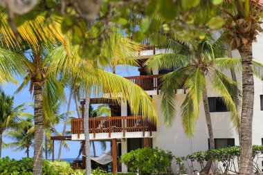 Charlotte Amalie Körfezi yakınlarındaki Saint Thomas adasında Karayip Safiri sahili