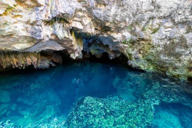 Tulum ve Playa Del Carmen yakınlarındaki Cenote Casa Tortuga 'nın turizm merkezi, mağaraları ve havuzları.