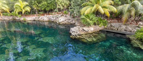 Mexico Tourism Destination Caves Pools Cenote Casa Tortuga Tulum Playa — Stock Photo, Image