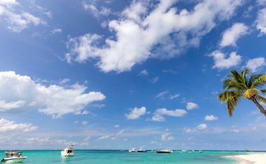 Meksika, Cancun, Isla Mujeres, Playa Norte kumsalı, palmiye ağaçları turistleri bekliyor..