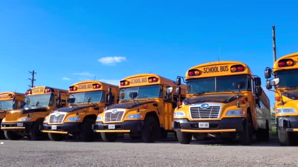 Toronto Ontario Kanada Lipca 2022 Wiersz Żółtych Autobusów Szkolnych Ustawionych — Wideo stockowe