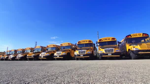 Toronto Ontario Kanada Lipca 2022 Wiersz Żółtych Autobusów Szkolnych Ustawionych — Wideo stockowe