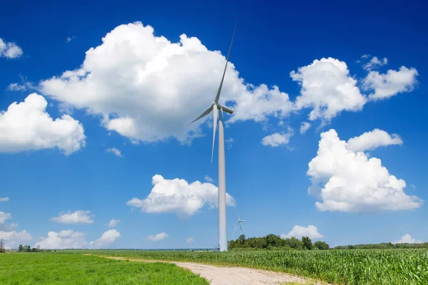 Green energy wind turbine farms in Ontario Canada produce clean energy and replace coal industry.