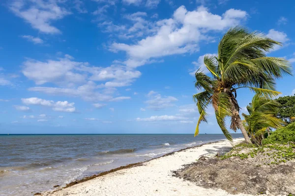 Mexico Beaches Playas Hotels Cozumel Island Tourism Vacation Destination — Foto Stock