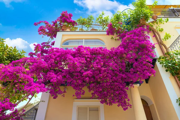 Italy, old streets of beautiful tourism destination Ischia Island near Naples.