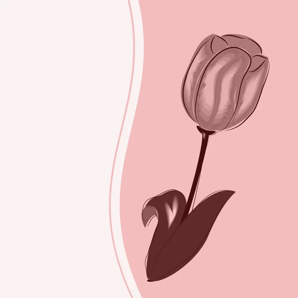 Tulip for the favorite — Stock Vector