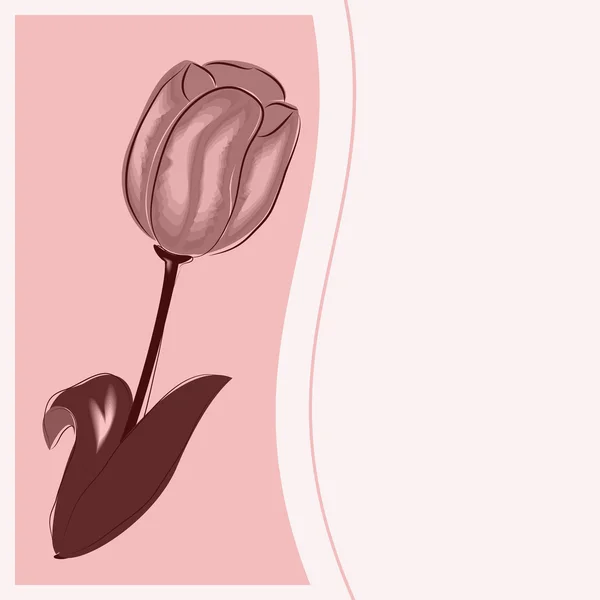 Tulip op 8 maart — Stockvector