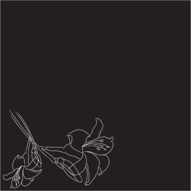 Two lilies on a black background clipart