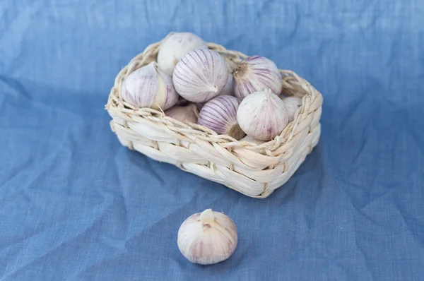 sarımsak üzerinde mavi arka plan Üstten Görünüm